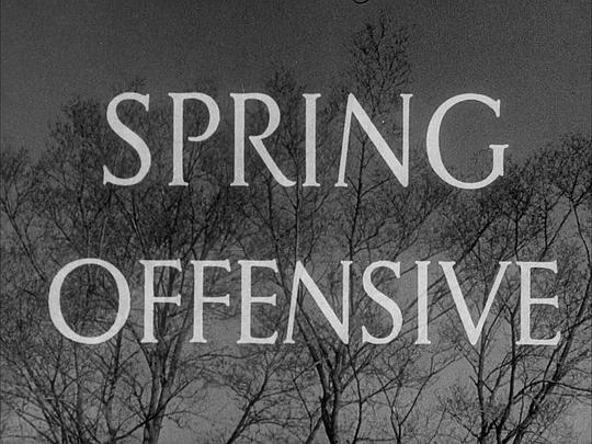 Spring Offensive