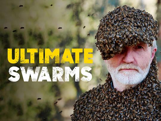 群居动物的疯狂世界