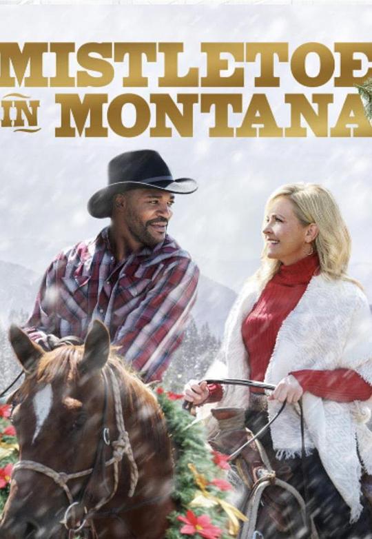 Mistletoe in Montana