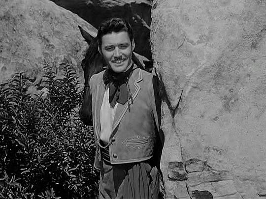 佐罗