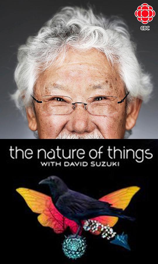 事物的本质