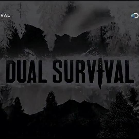 求生一加一 第八季