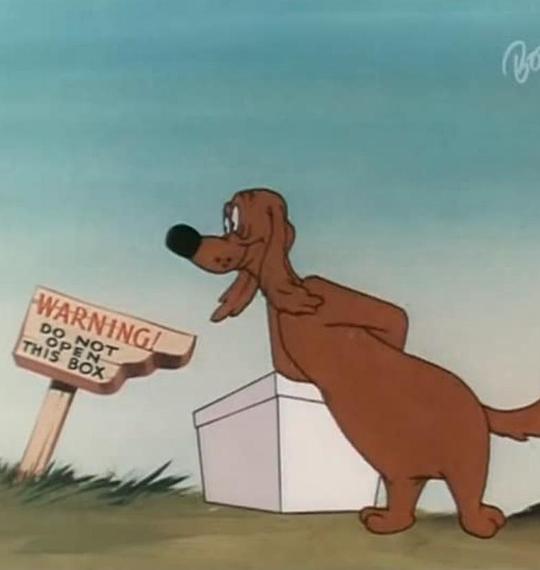 The Shell Shocked Egg