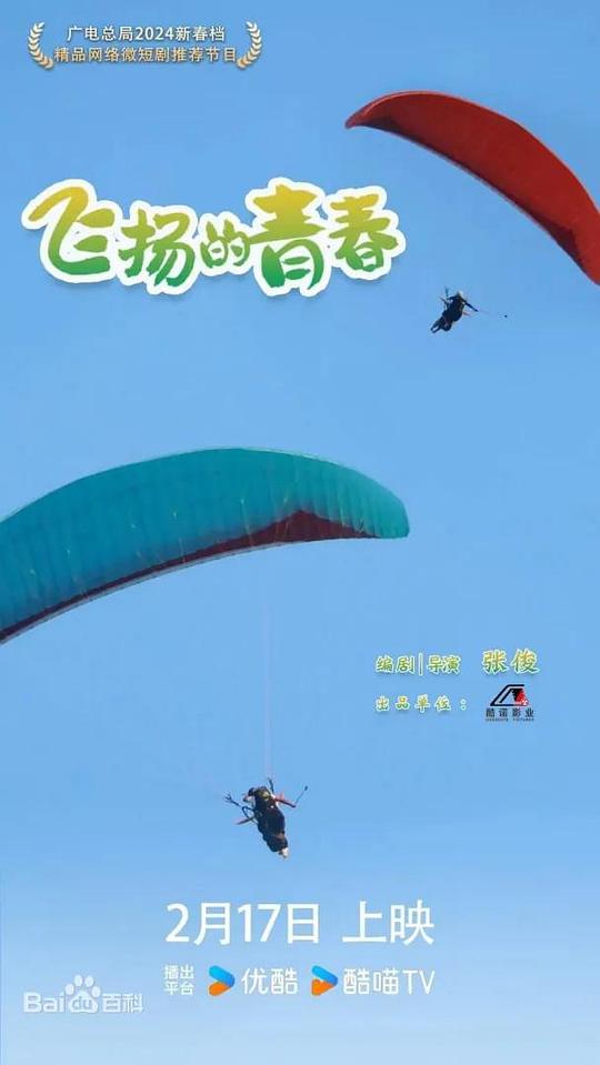 飞扬的青春