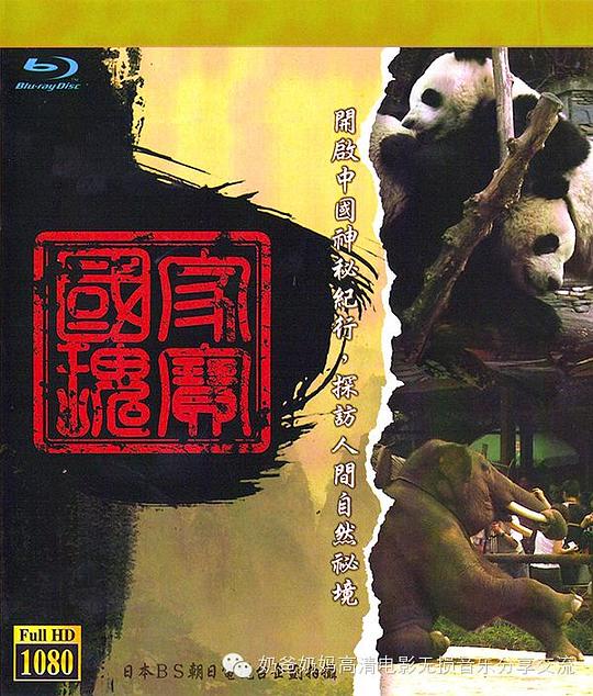 中国神秘纪行