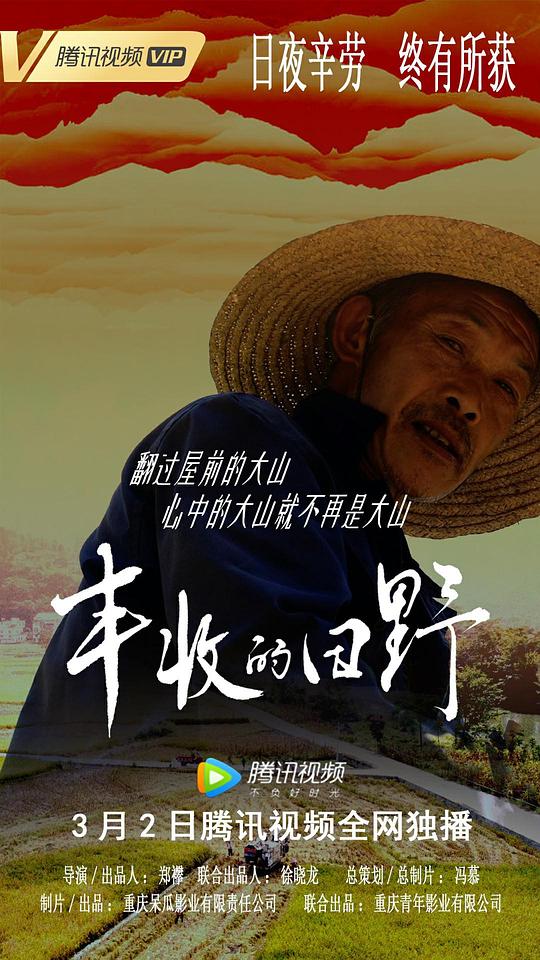 丰收的田野