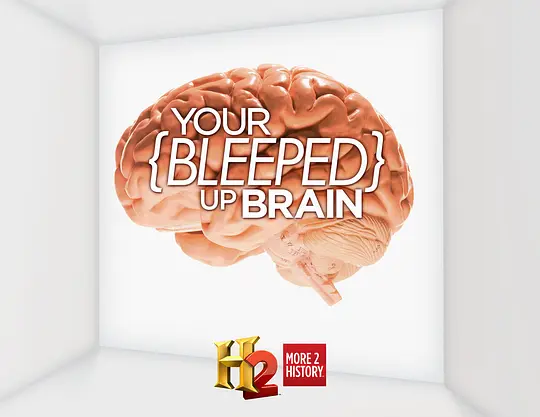 短路的大脑 第一季