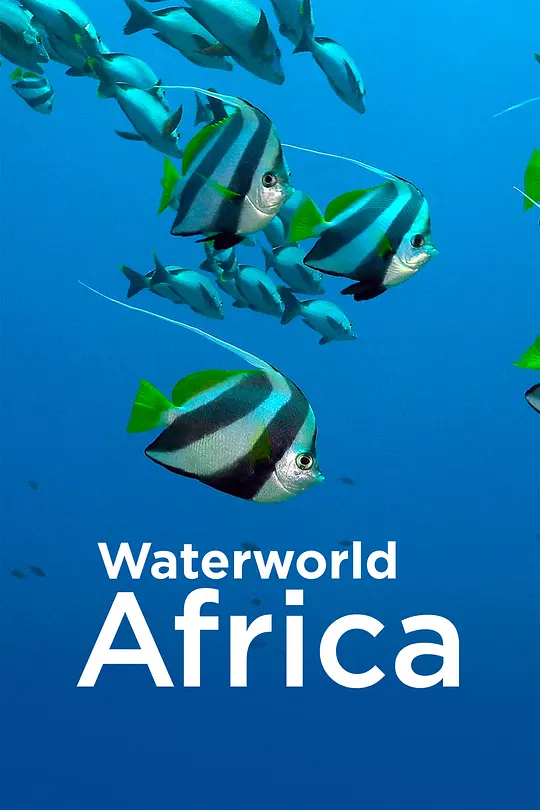 非洲水世界 第一季