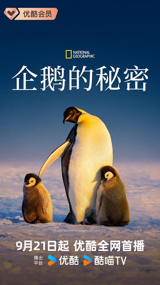 企鹅的秘密